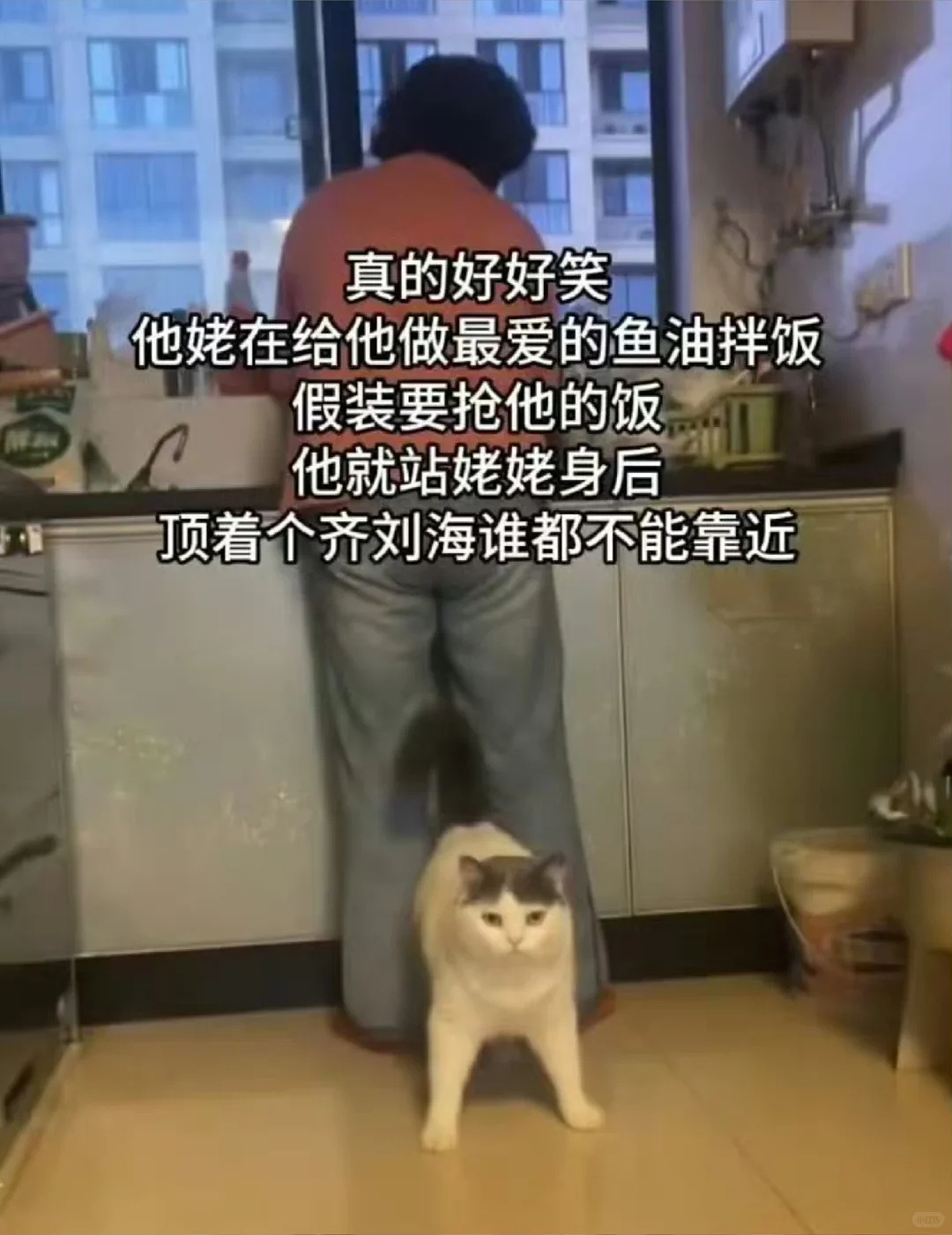 【爆笑】“找网友求助遇到小学生后.....”哈哈哈哈哈哈整的还挺专业(组图) - 36