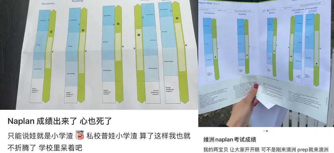 开始甩锅！“NAPLAN考不好别只怪学校，父母也要自己照照镜子”（组图） - 2