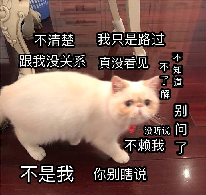 新加坡成“走私”大型中转站！2名中国公民因非法倒卖英伟达芯片被美国逮捕，更多细节曝光（组图） - 9