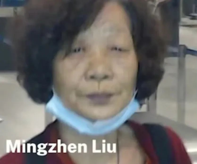 7名华人嫌犯澳洲入境照公布！可能逃到新西兰，华超、中药房附近出现概率高（组图） - 12