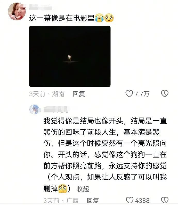 【爆笑】“找网友求助遇到小学生后.....”哈哈哈哈哈哈整的还挺专业(组图) - 47