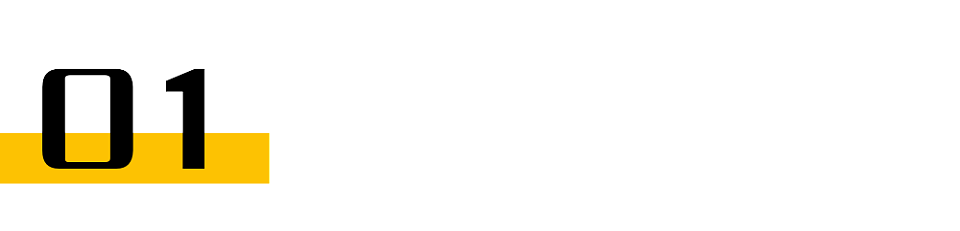 宗馥莉“消失”,娃哈哈突然注销(组图) - 1