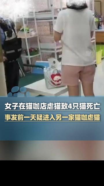 女子在猫咖店虐猫致4死，被指换不同地方“作案”（视频/图） - 1