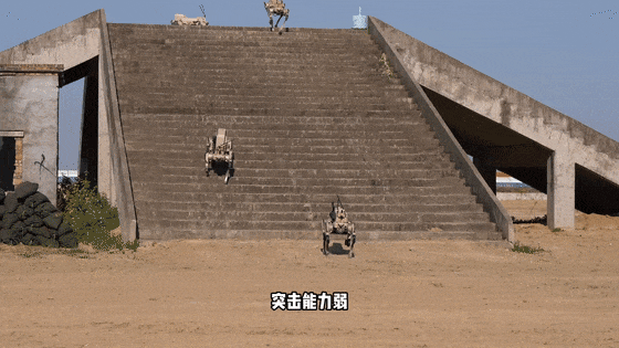冲锋！演习现场“机器狼”射击画面最新披露（组图） - 9
