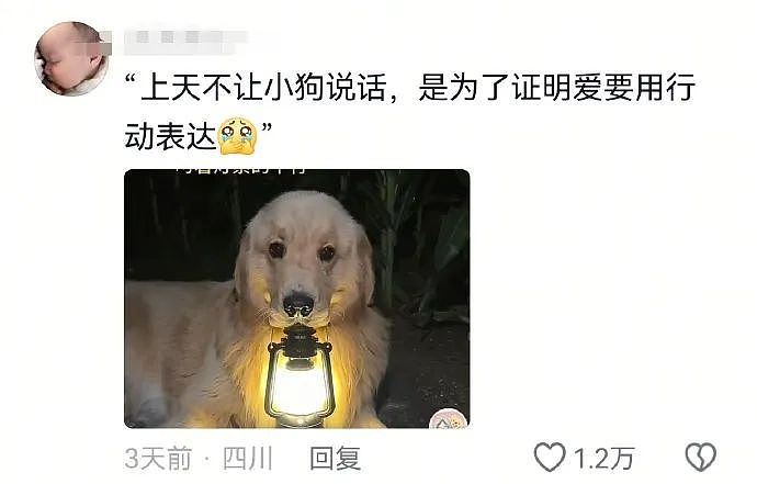 【爆笑】“找网友求助遇到小学生后.....”哈哈哈哈哈哈整的还挺专业(组图) - 51
