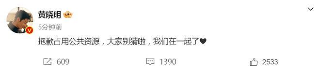 热搜第一！叶珂官宣生了，透露和黄晓明分手原因（组图） - 12
