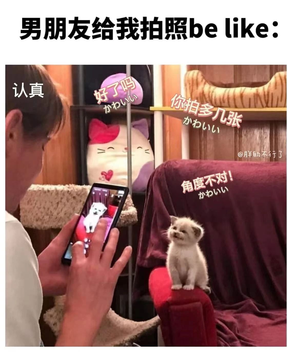 【爆笑】“男朋友把我拍成了山村老尸...？”哈哈哈男友拍照生死难料（组图） - 2