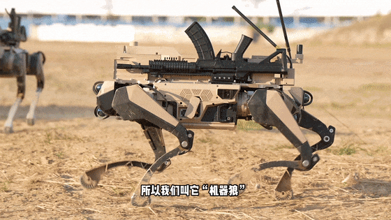 冲锋！演习现场“机器狼”射击画面最新披露（组图） - 8