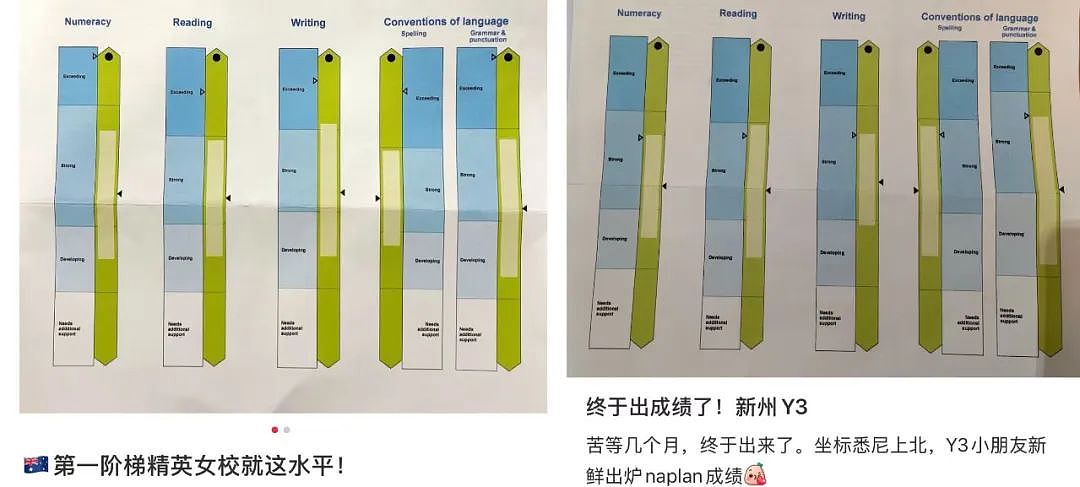 开始甩锅！“NAPLAN考不好别只怪学校，父母也要自己照照镜子”（组图） - 1