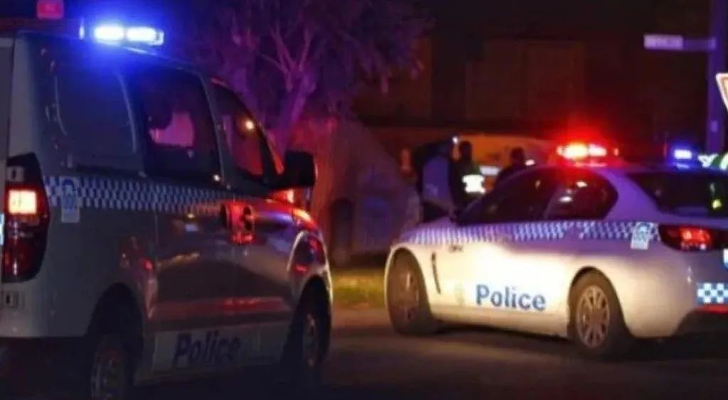 悉尼公园发生暴力捅人案！6人受伤，15岁青少年被捕（组图） - 2