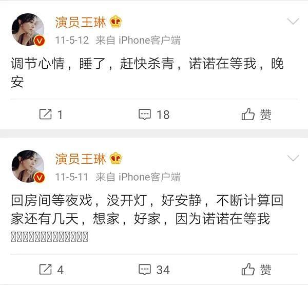 王琳和儿子的“病态”关系,其实是很多人的现状(组图) - 18
