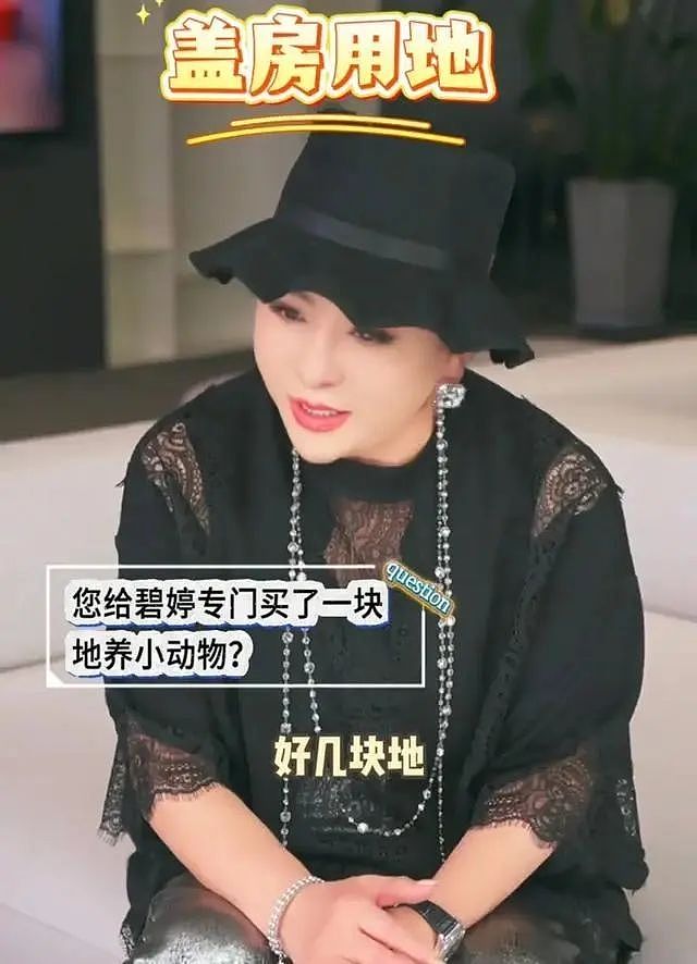 35岁嫁入豪门，甘愿沦为生育机器，老公出轨，婆婆强势！6年后的她，赢了吗？（组图） - 13