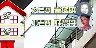 知名男星又娶二奶！大小老婆同住一屋，出轨妖艳女演员，60岁被曝偷养三奶？（组图） - 12