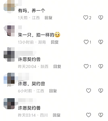女生和富豪签“主仆契约”当玩物：出门牵狗绳遛自己声称是主人的任务看傻我了...（组图） - 9