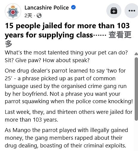 鹦鹉说出“一句话”竟成破获英国贩毒集团线索!15人判监共103年(视频/组图) - 2