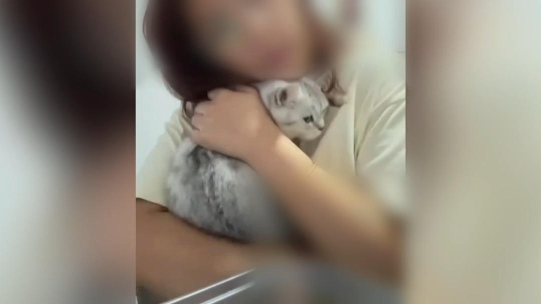 “我连猫都不如”!他竟为此痛杀女友,警方在卫生间发现一滴血,更诡异的是...(组图) - 2