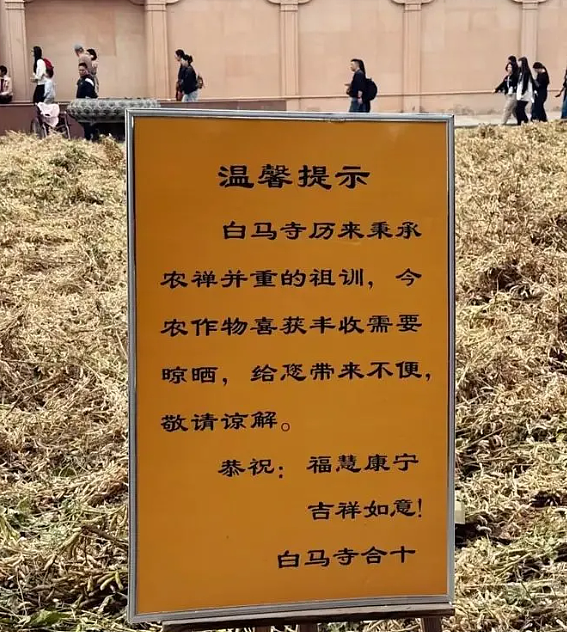 少林寺新住持猛料被扒，和尚离职潮反转不断（组图） - 4
