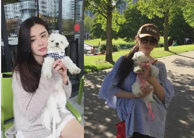 王祖贤素颜买菜被偶遇！穿短裤、拖鞋，不戴口罩！58岁真实状态疯传（组图） - 12
