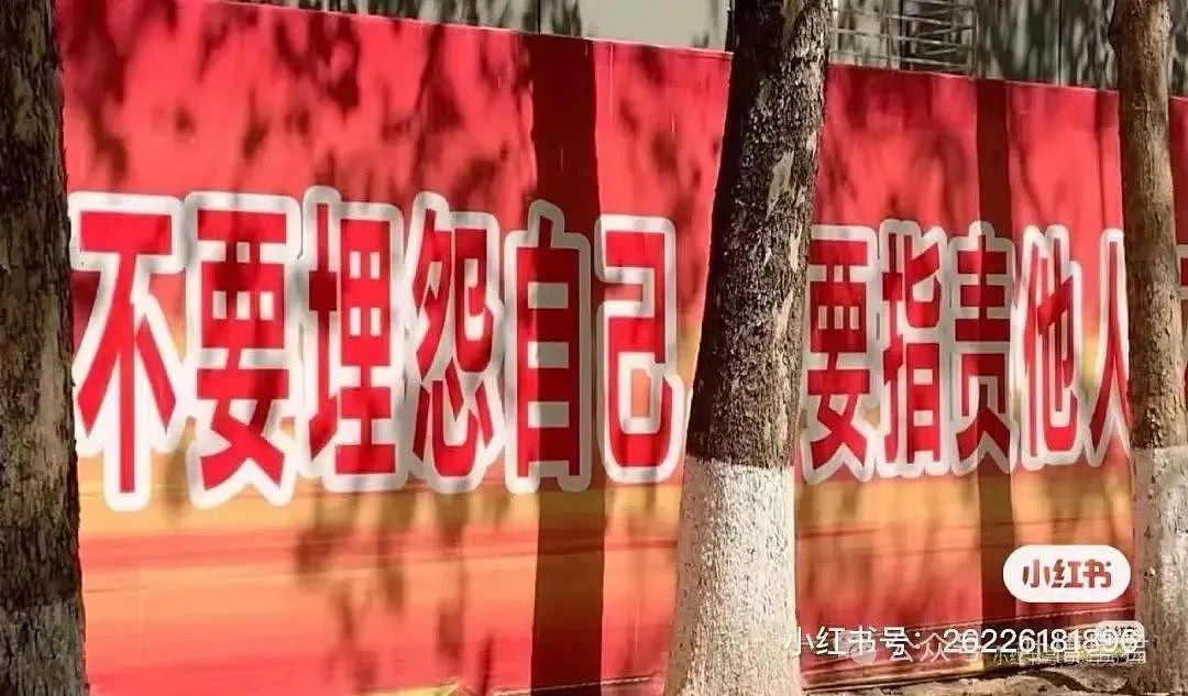 【爆笑】离职后被要求退还全部工资…？我勒个逗当员工是pdd先用后付（组图） - 18