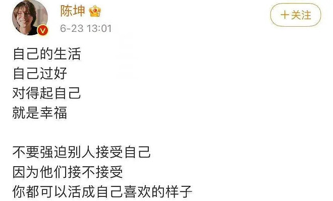 陈坤爱子车祸重伤，肇事者竟未被追责（组图） - 4