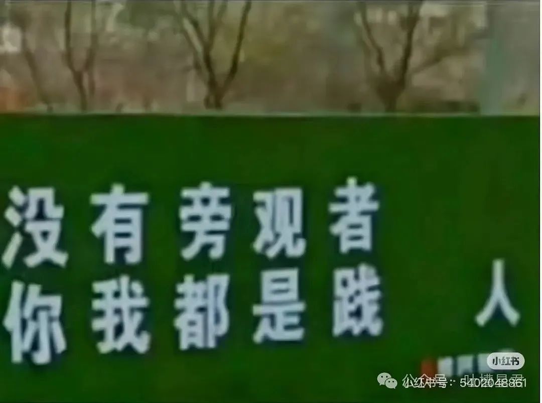 【爆笑】离职后被要求退还全部工资…？我勒个逗当员工是pdd先用后付（组图） - 15