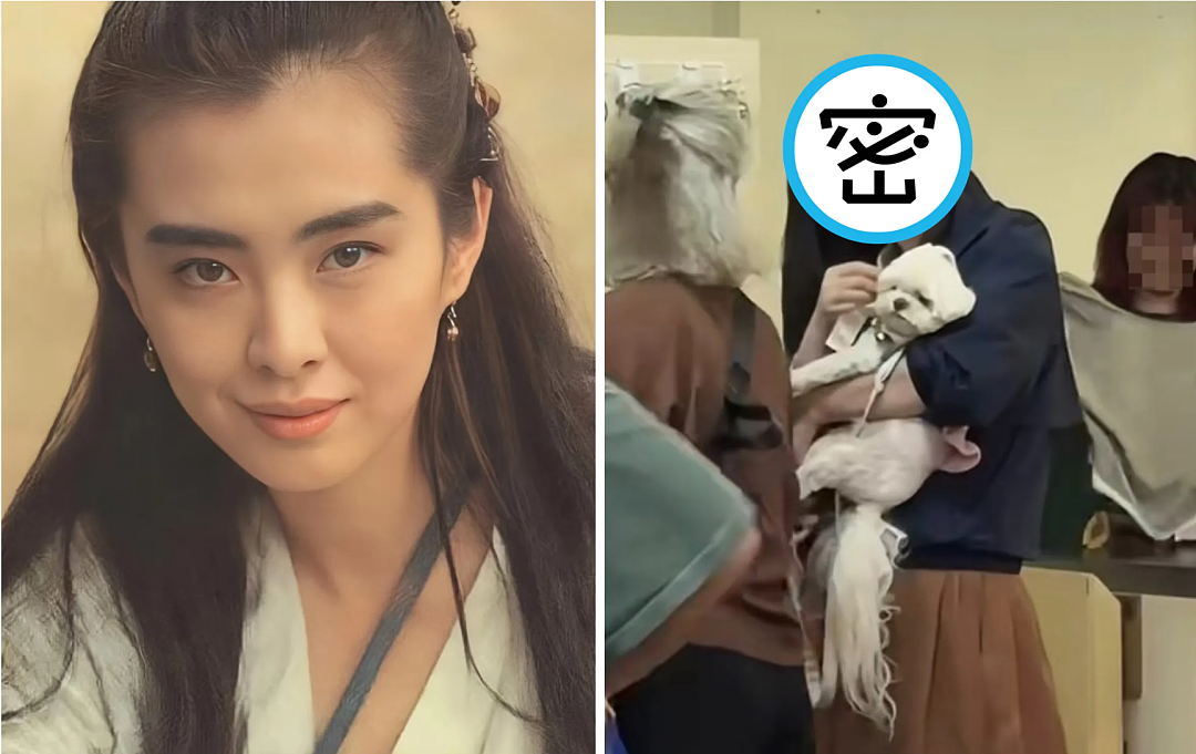 王祖贤素颜买菜被偶遇！穿短裤、拖鞋，不戴口罩！58岁真实状态疯传（组图） - 2