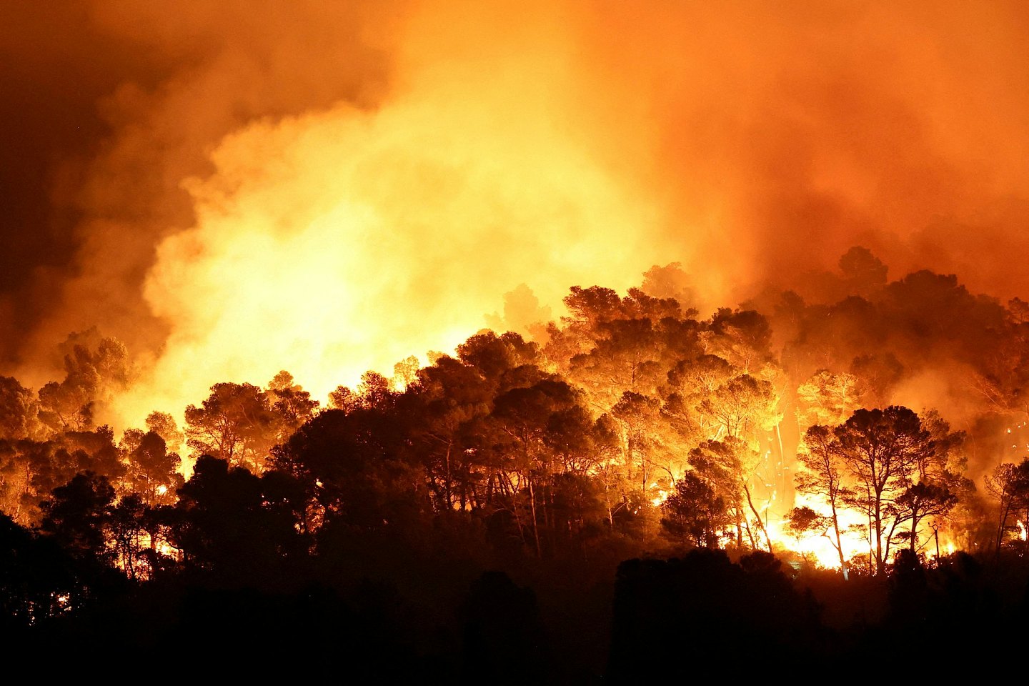 法国南部爆近80年来最严重山火！烧毁1.6万公顷土地，规模超巴黎（组图） - 3
