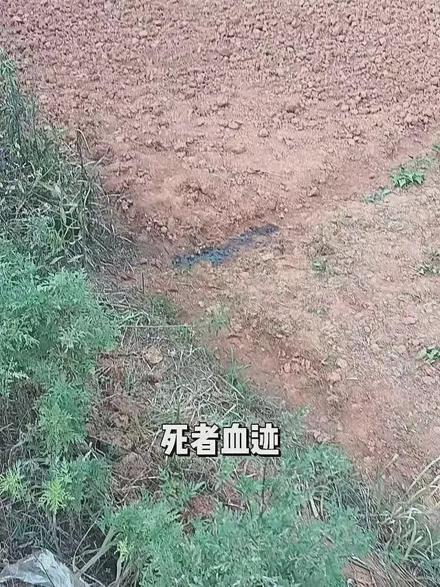 农民工夜晚如厕遭气枪误杀，算“因工死亡”吗（组图） - 3