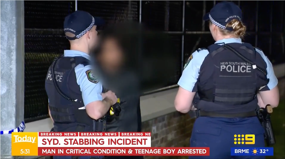 吓人！悉尼公园惊现持刀伤人案！6人受伤，1人生命垂危，15岁青少年被捕，原因曝光（组图） - 2