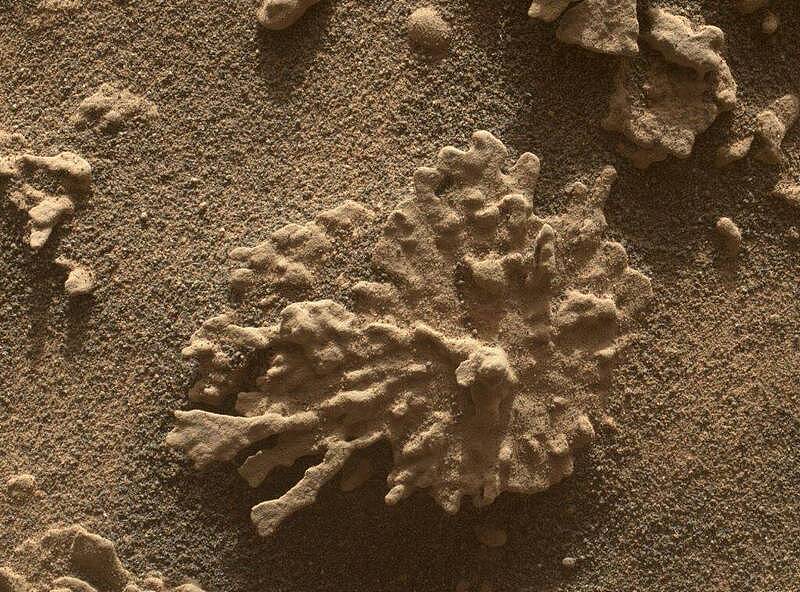 火星惊见“珊瑚岩”！NASA发现水痕，潜藏生命可能（组图） - 1
