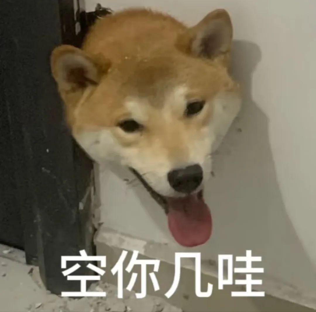 【宠物】小姐姐发现自家房子出现了一个洞，结果看到邻居的狗，狗子：你好朋友…（组图） - 12