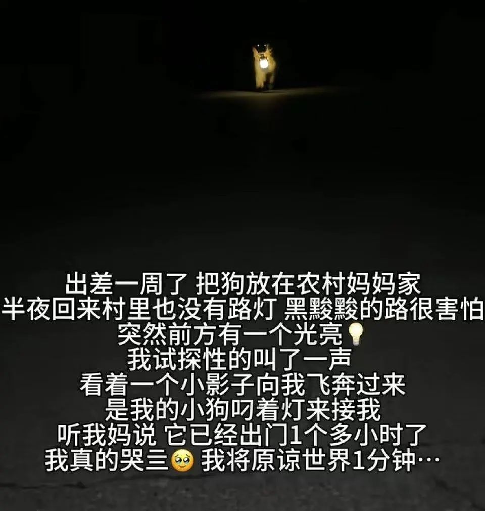 【爆笑】“前男友求复合后转了6块钱给我......“ 啊啊啊啊啊啊救救我的眼睛(组图) - 48