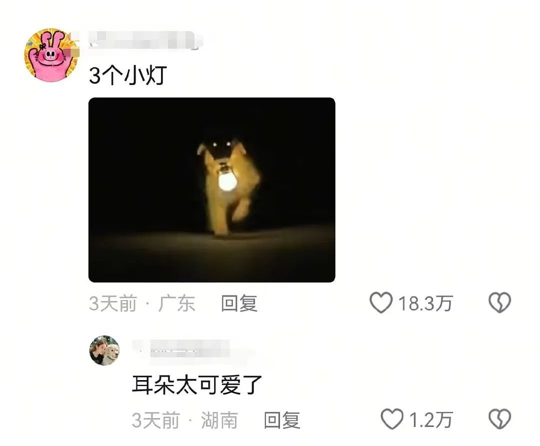 【爆笑】“前男友求复合后转了6块钱给我......“ 啊啊啊啊啊啊救救我的眼睛(组图) - 50