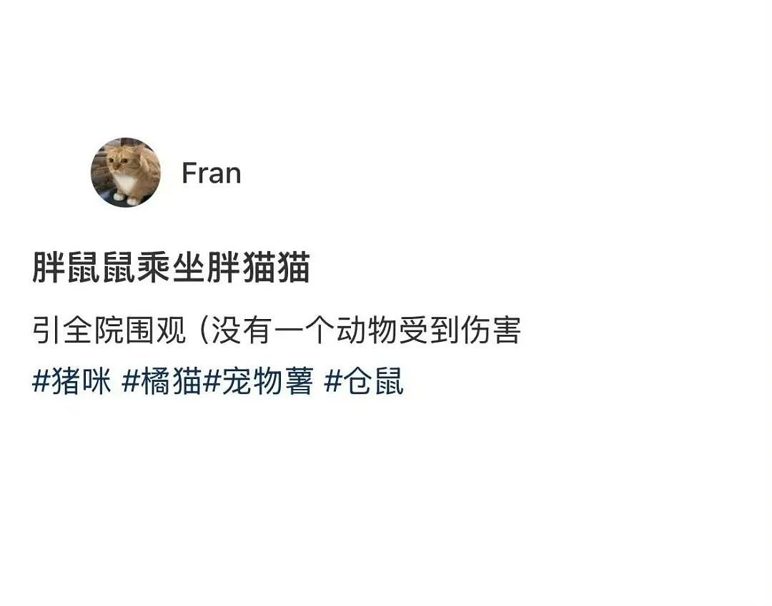 【爆笑】“前男友求复合后转了6块钱给我......“ 啊啊啊啊啊啊救救我的眼睛(组图) - 63
