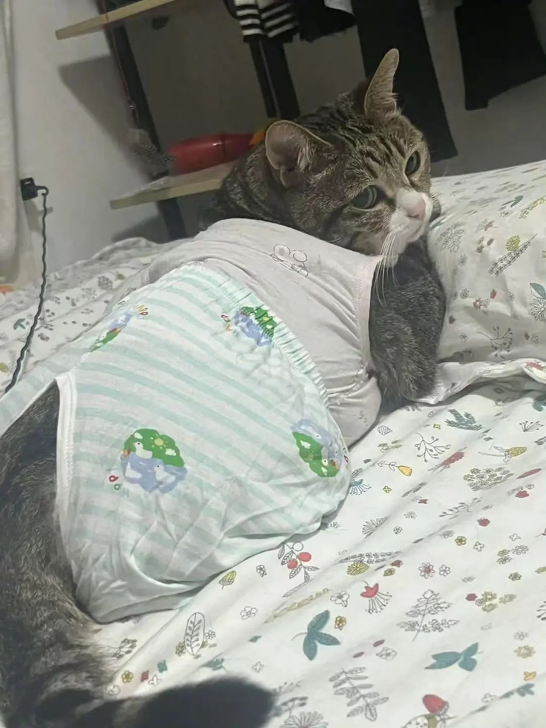 【爆笑】“网友错把自己爸爸当作女的疯狂开撩后......” 哈哈哈哈哈哈哈结局笑晕过去（组图） - 38
