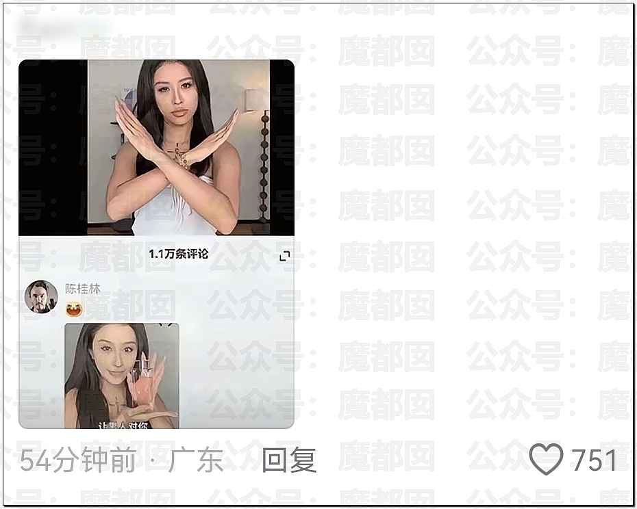 震撼！超美网红女博主举报高铁马桶请翻坐垫引发全网哗然怒喷（组图） - 11