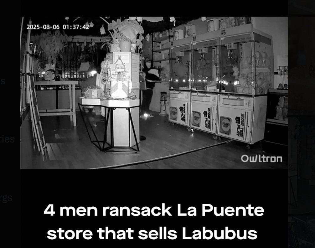 洛杉矶4盗贼夜闯潮玩店零元购，翻箱倒柜只偷Labubu（视频/组图） - 3