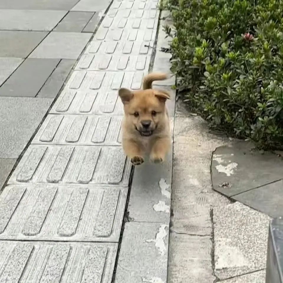 【爆笑】“网友错把自己爸爸当作女的疯狂开撩后......” 哈哈哈哈哈哈哈结局笑晕过去（组图） - 102