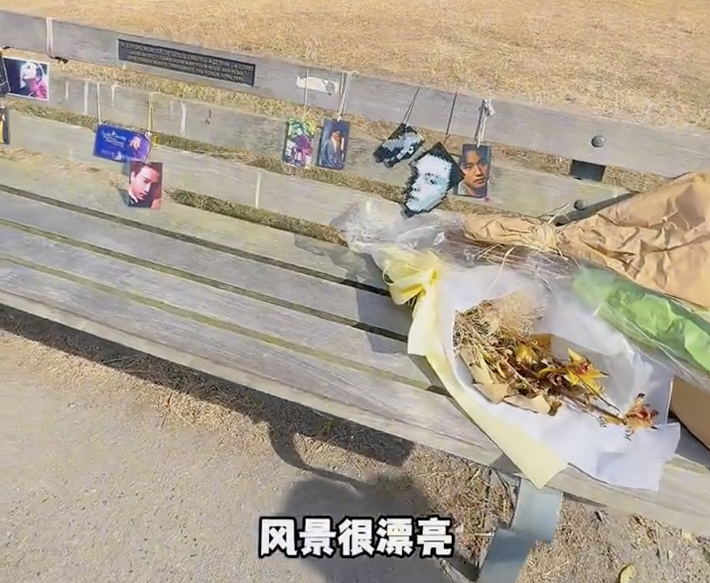 崩溃！华人亲历：停车遇“好心人”搭话，华人全家钱包护照被扫空，被迫滞留（组图） - 1