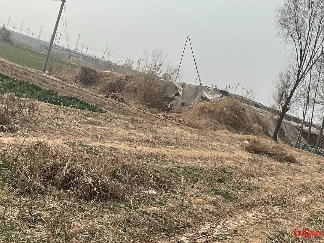 中国校园霸凌频发引爆冲突，未成年人受法律保护或纵容？（组图） - 10