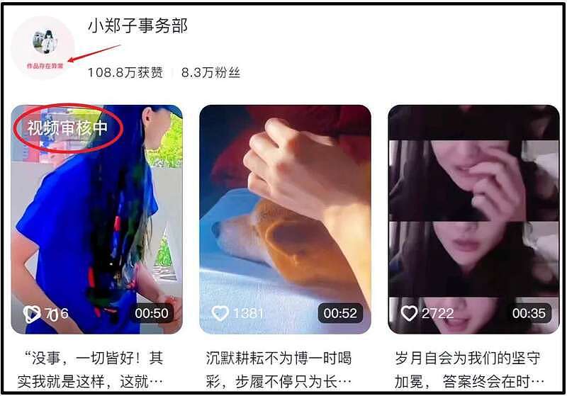 郑爽自曝可以回国！出道16年工作室发歌庆祝，网友直言还有债没还（组图） - 17