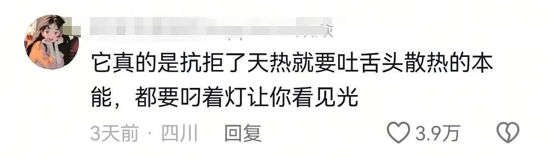 【爆笑】“前男友求复合后转了6块钱给我......“ 啊啊啊啊啊啊救救我的眼睛(组图) - 52