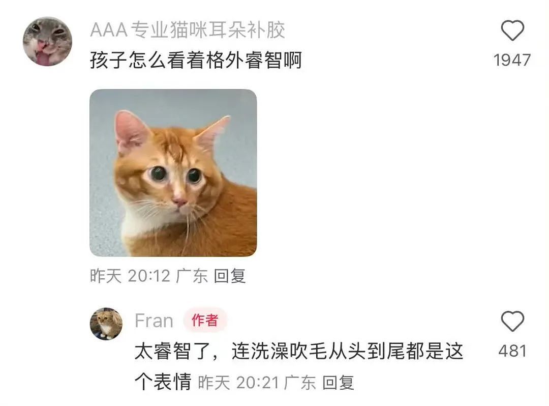 【爆笑】“前男友求复合后转了6块钱给我......“ 啊啊啊啊啊啊救救我的眼睛(组图) - 67