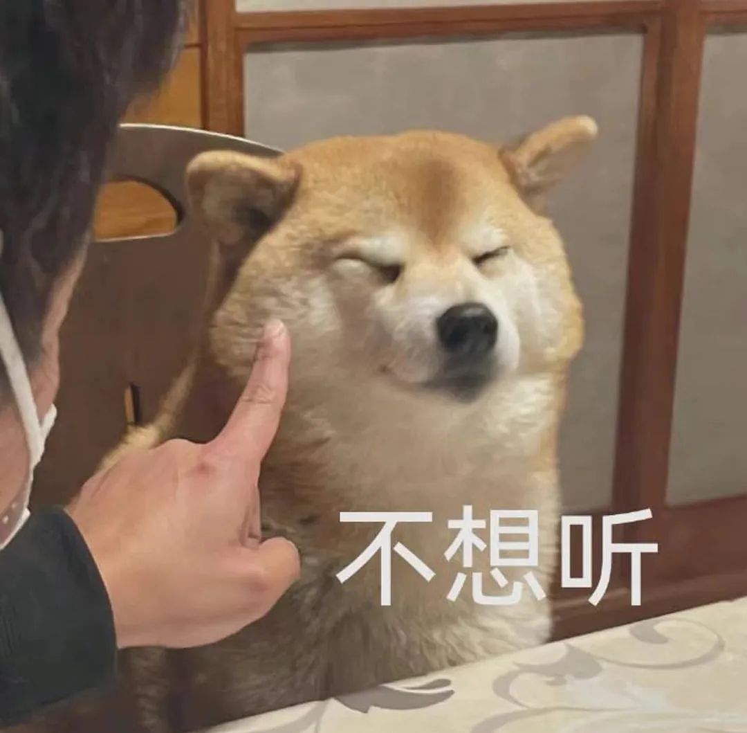 【宠物】小姐姐发现自家房子出现了一个洞，结果看到邻居的狗，狗子：你好朋友…（组图） - 7