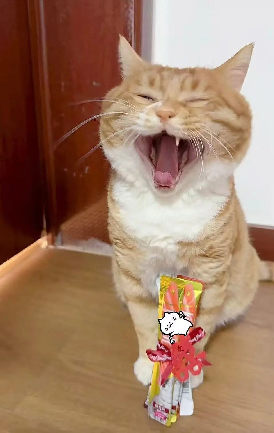 【爆笑】“前男友求复合后转了6块钱给我......“ 啊啊啊啊啊啊救救我的眼睛(组图) - 73