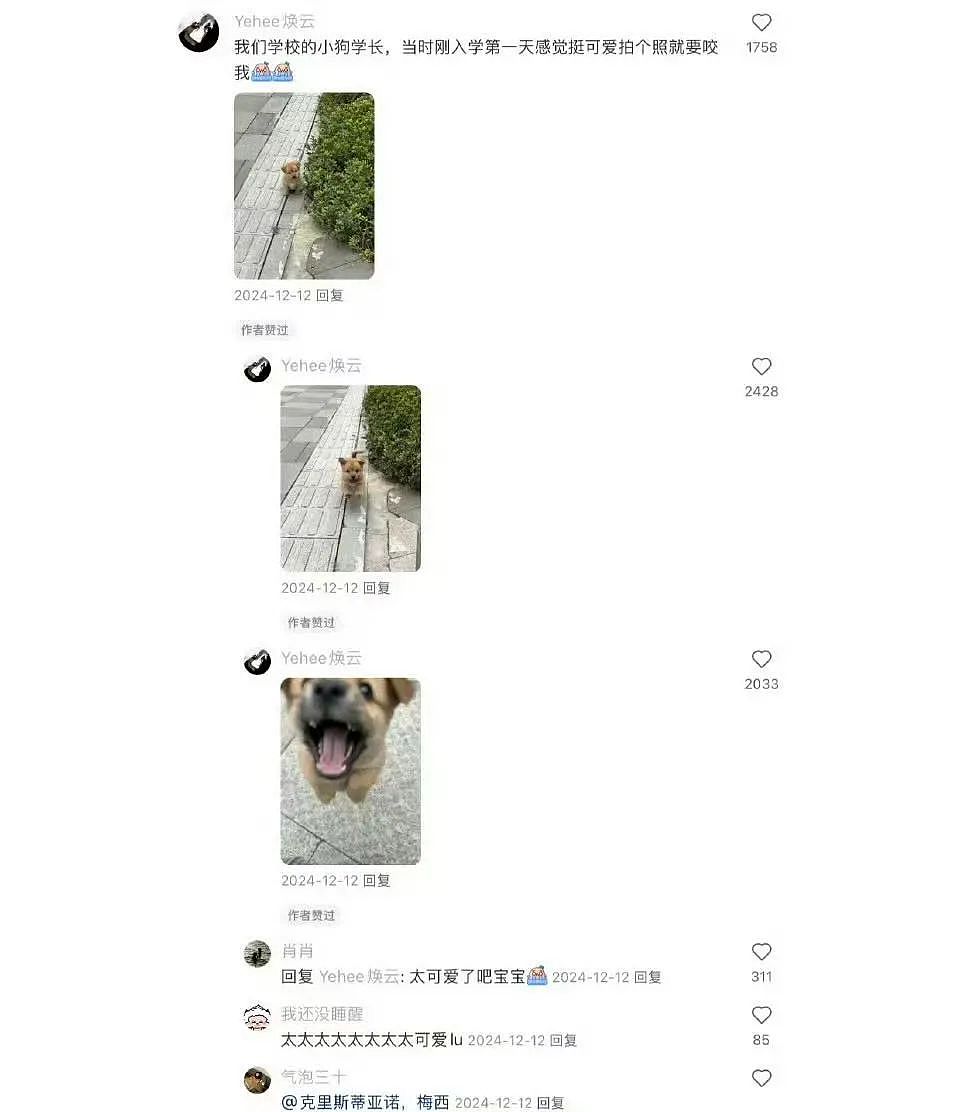 【爆笑】“网友错把自己爸爸当作女的疯狂开撩后......” 哈哈哈哈哈哈哈结局笑晕过去（组图） - 100