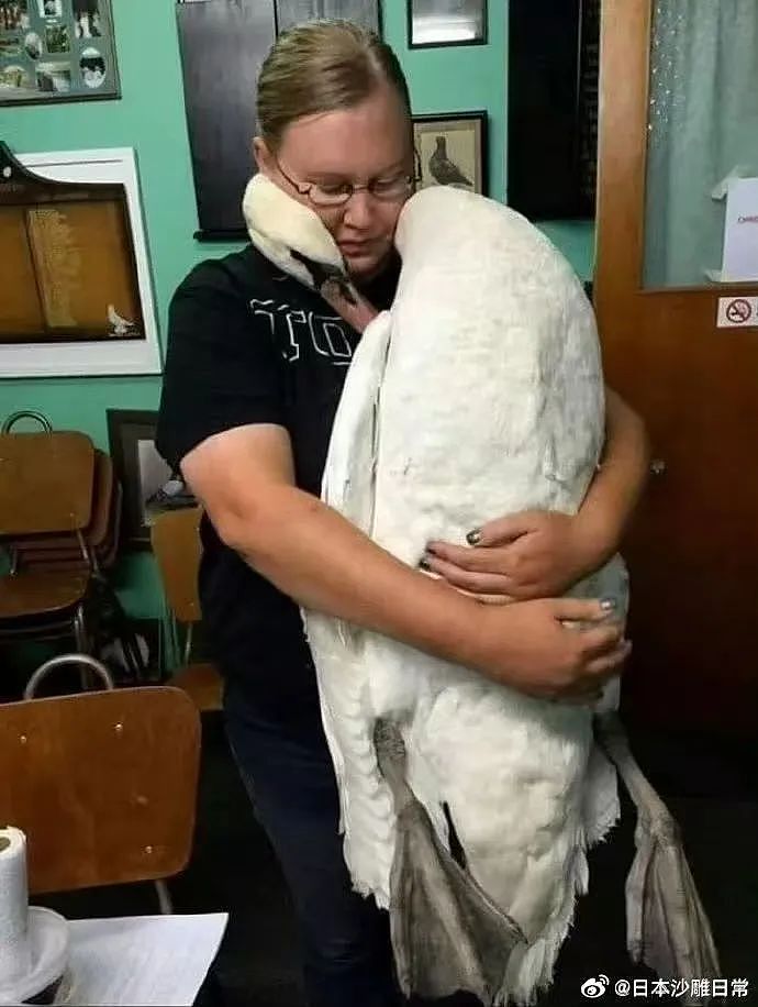 【爆笑】“网友错把自己爸爸当作女的疯狂开撩后......” 哈哈哈哈哈哈哈结局笑晕过去（组图） - 29