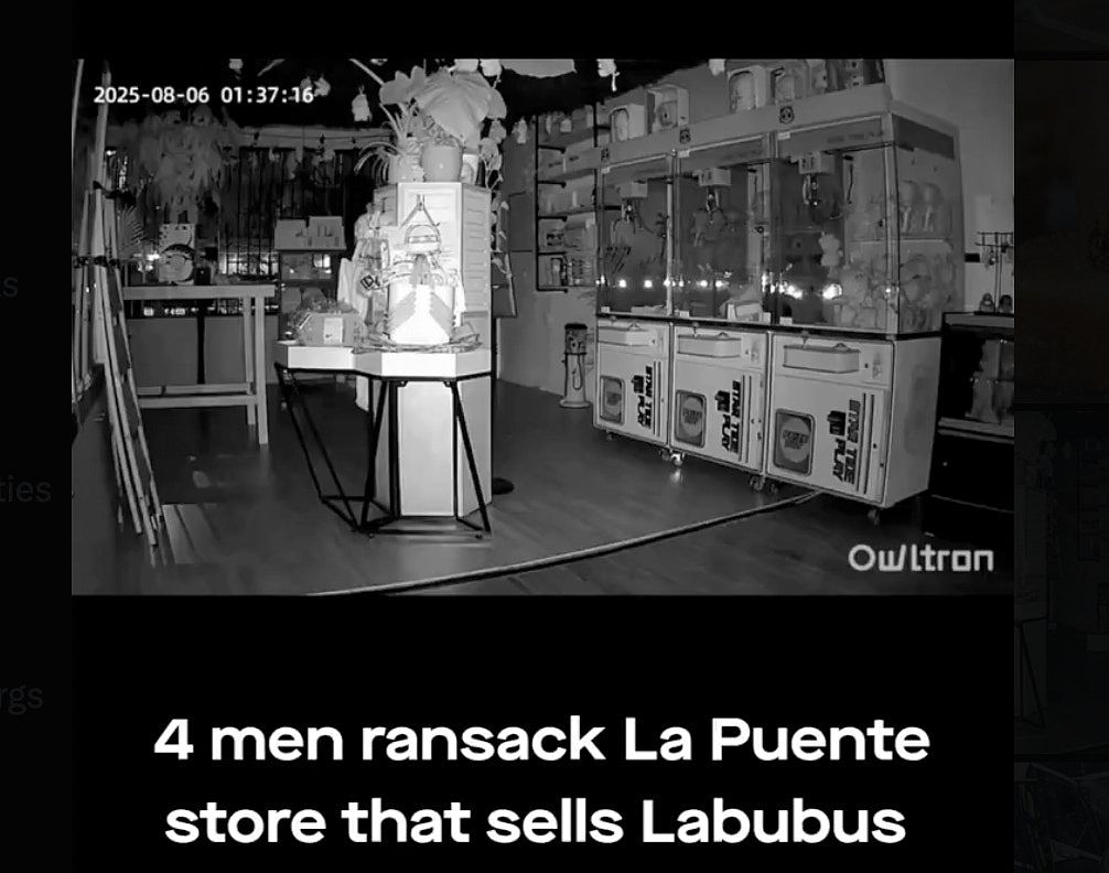洛杉矶4盗贼夜闯潮玩店零元购，翻箱倒柜只偷Labubu（视频/组图） - 1