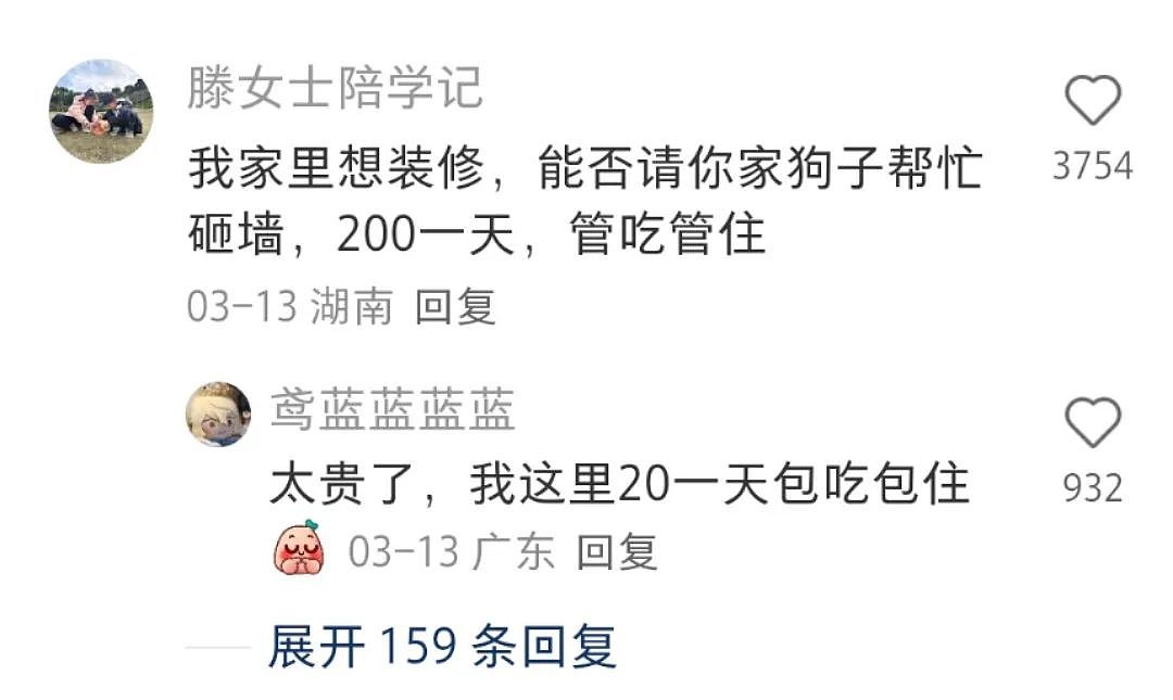 【宠物】小姐姐发现自家房子出现了一个洞，结果看到邻居的狗，狗子：你好朋友…（组图） - 10