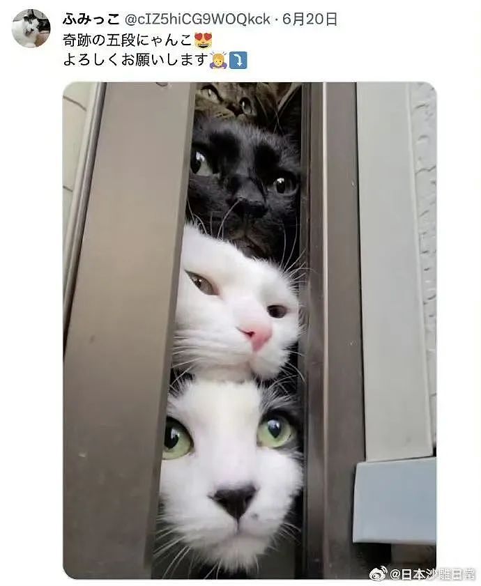【爆笑】“前男友求复合后转了6块钱给我......“ 啊啊啊啊啊啊救救我的眼睛(组图) - 45